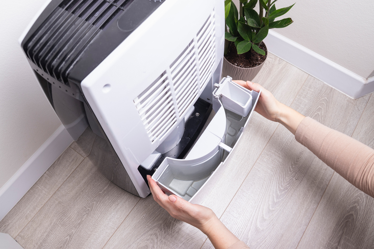 Woman removing collected water tank from dehumidifier